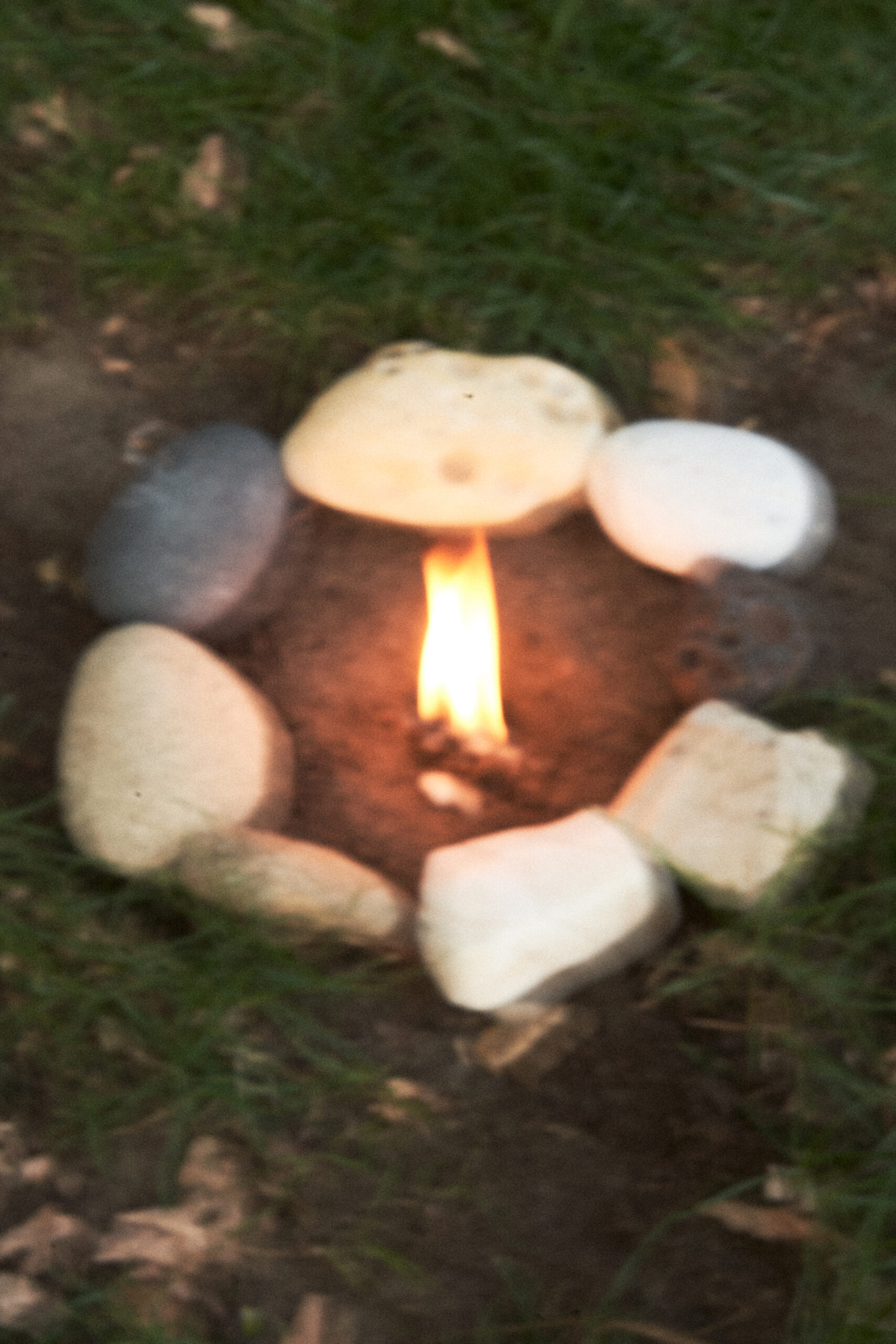 Joanna Chwilkowska Asidron