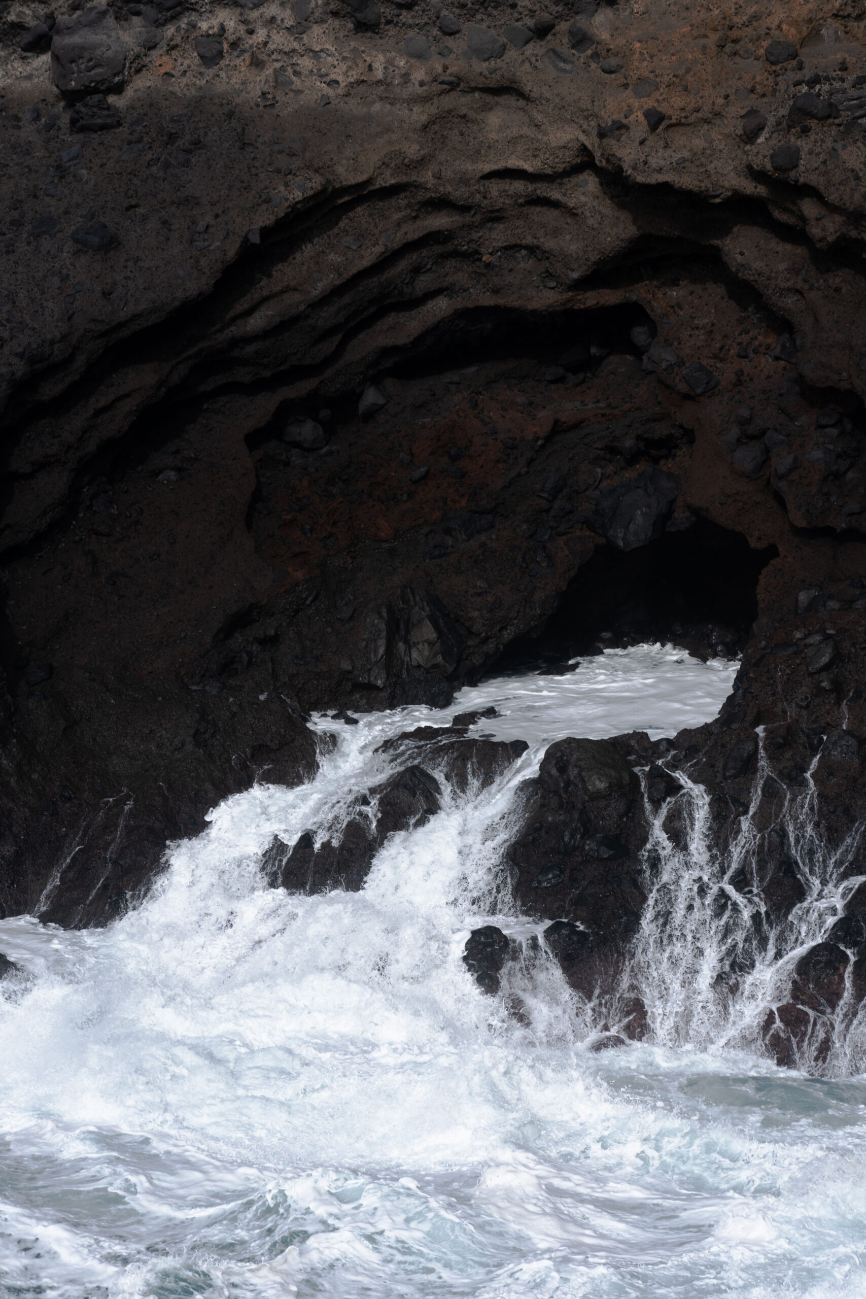 Joanna Chwilkowska Asidron