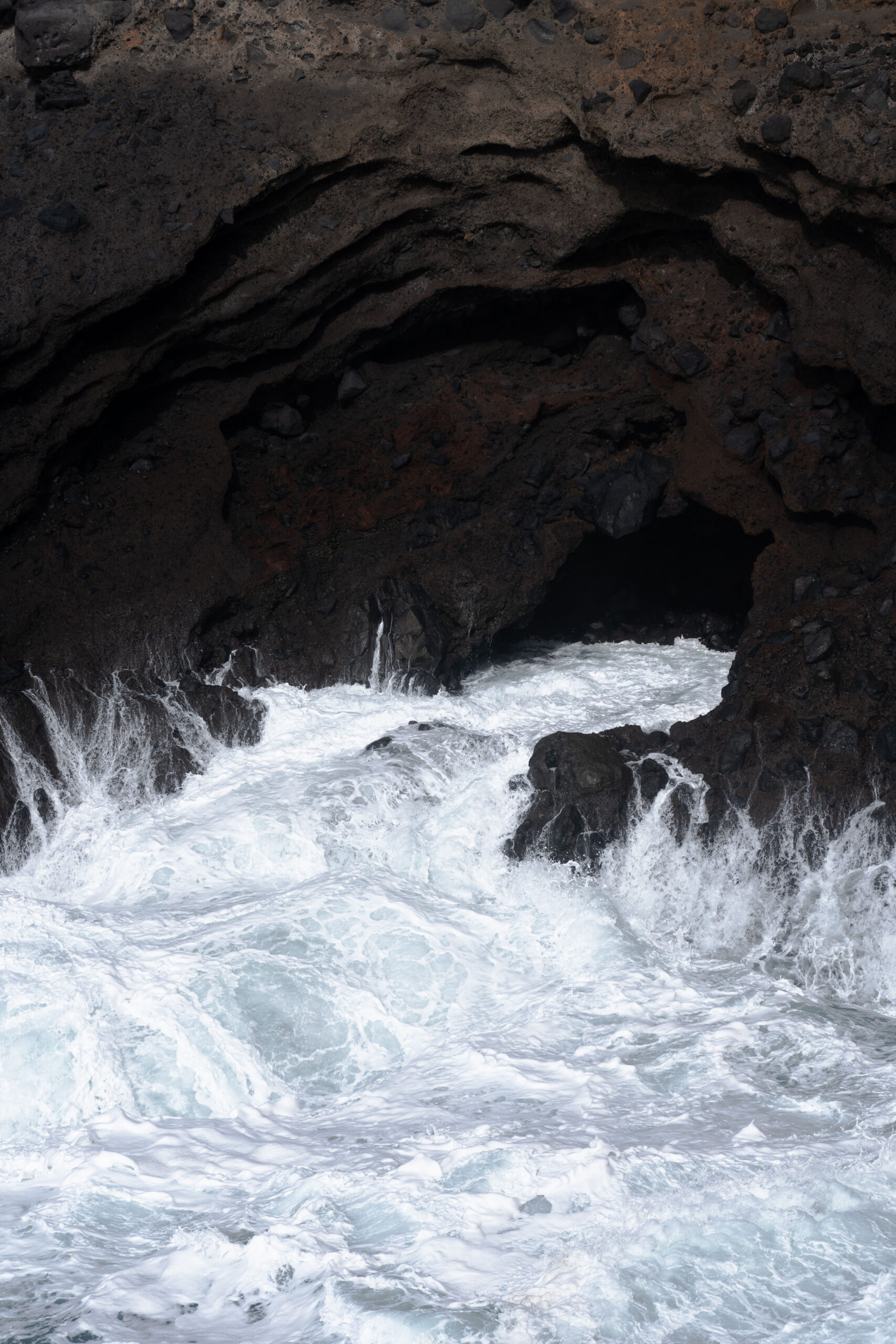 Joanna Chwilkowska Asidron